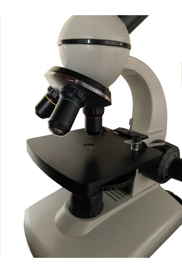 Pupil Microscope