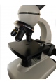 Pupil Microscope